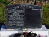 image of grave number 733466